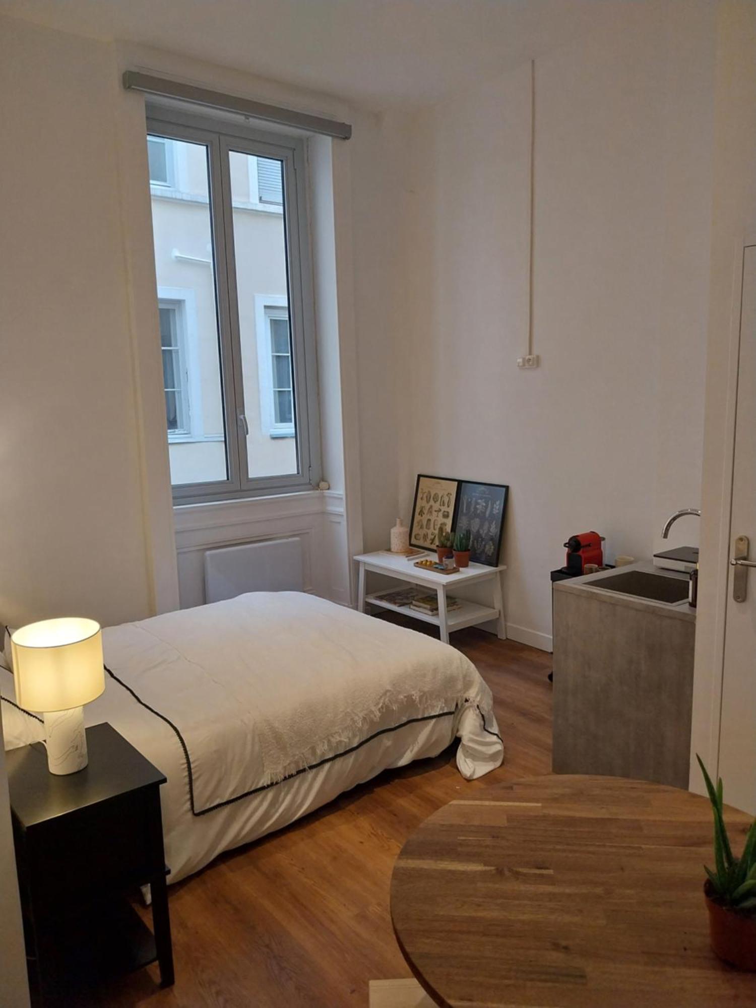 Appartement Place Des Terreaux Presqu'Ile 里昂 外观 照片